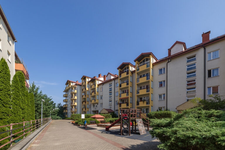zdj-25