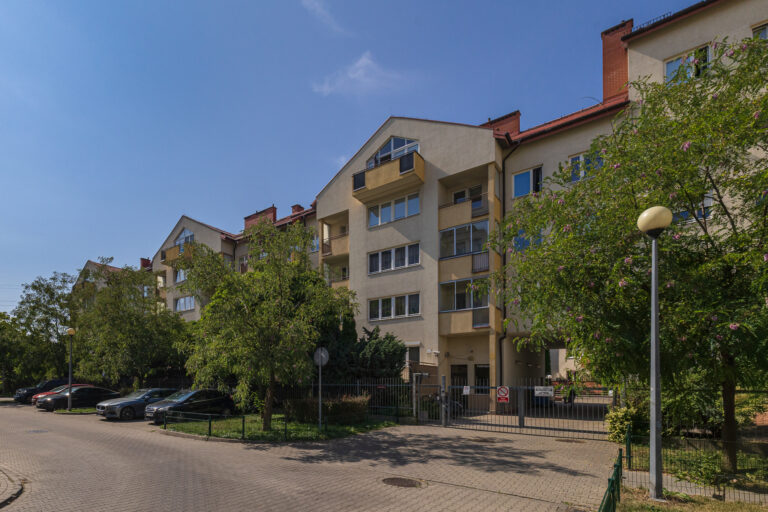 zdj-27
